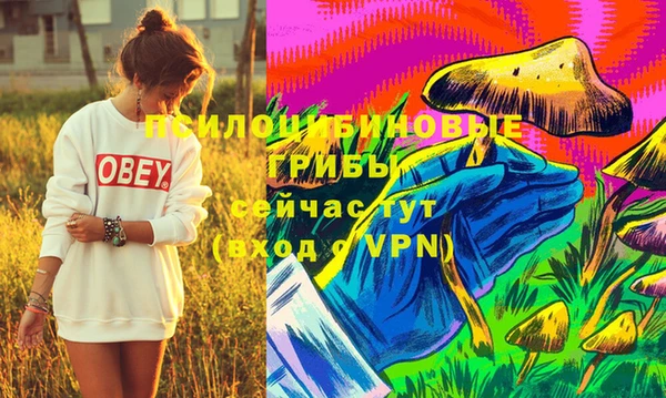 PSILOCYBIN Алзамай