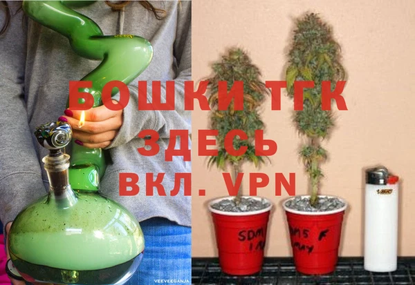 PSILOCYBIN Алзамай