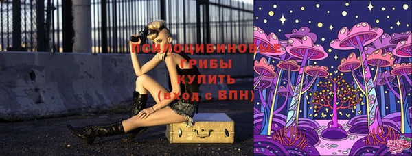 спиды Алексин