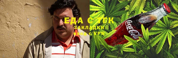 PSILOCYBIN Алзамай