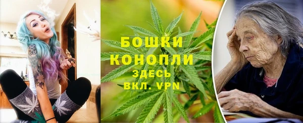 PSILOCYBIN Алзамай