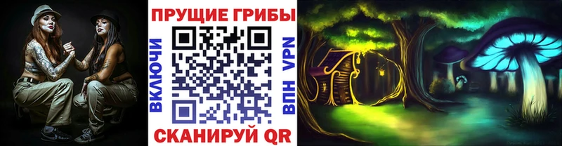 Псилоцибиновые грибы MAGIC MUSHROOMS  ОМГ ОМГ tor  Новоаннинский  купить наркоту 